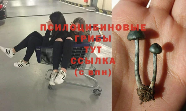 мяу мяу кристалл Алексин