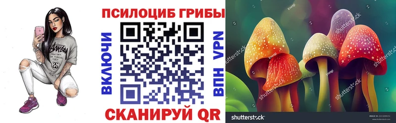 Псилоцибиновые грибы мицелий  Борзя 